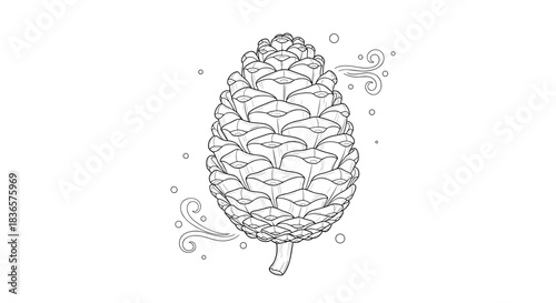 Detailed black and white line art illustration of a single pine cone with whimsical wind swirls, isolated on a white background.