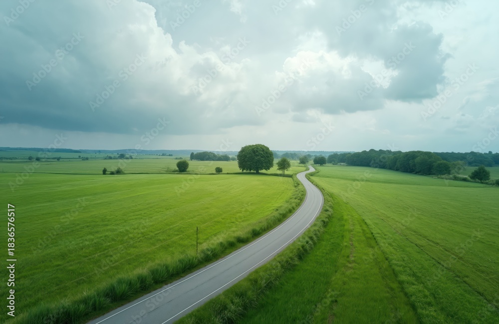 Naklejka premium Aerial shot presents rural road leading through lush green plants landscape under cloudy sky. Scenic route winds through fields with trees. Countryside road trip adventure concept is here.