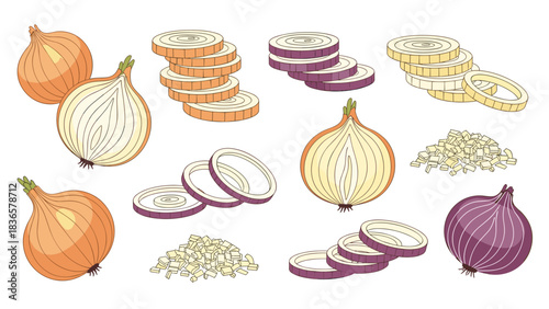 Delicious onions: Fresh yellow, white, and red onions sliced and diced for gourmet cooking and healthy eating inspiration