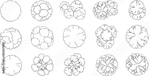 Tree top view line illustrations, perfect treetop for architectural plans, landscape design, and urban planning projects. detailed tree and foliage sketches for professional designs