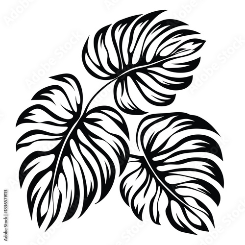 Monochrome Monstera Leaf Cluster Abstract Silhouette Design on White Background