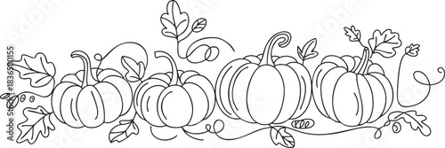 Fall harvest pumpkins and leaves hand drawn vector illustration design