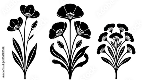 Decorative Black Floral Silhouettes Keywords: floral, flower, silhouette, black and white