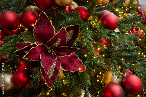 Christmas tree decorated poinsettia flowers and red baubles with lights garland. Xmas holiday spirit. Winter. Outdoors.