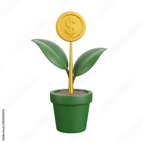 Money plant isolated on transparent background