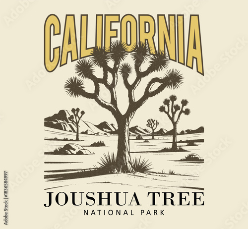 joshua tree national park in California perfect for t-shirt design, background etc.  Vintage Desert Vibes t shirt design, vector illustration. , western desert adventure vector typography design.
