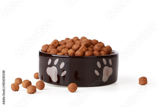 Black plate with dog food