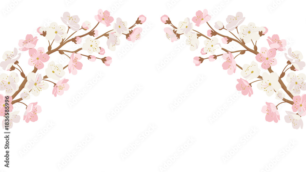Naklejka premium Delicate pink and white cherry blossom branches frame a clean white space perfect for spring greetings