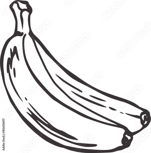 Bunch of bananas hand drawn sketch fruit food