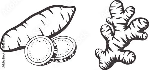 Ginger root and sweet potato slices illustration vector
