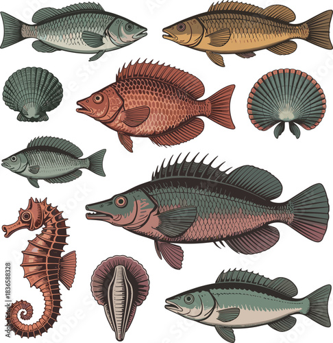 Assorted Fish Seahorse and Shellfish Vector Collection