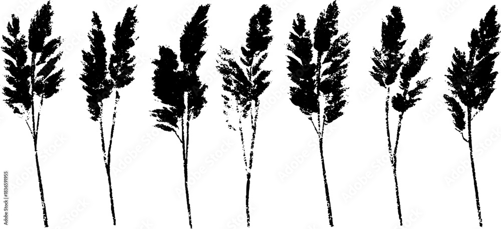 Fototapeta premium Monochrome stencil illustration of cut reed stalks for natural design and decoration