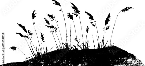 Black and white stencil of curling riverbank grass with rough grunge texture