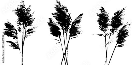Black and white stencil illustration of cut reed stalks for wall art and print design