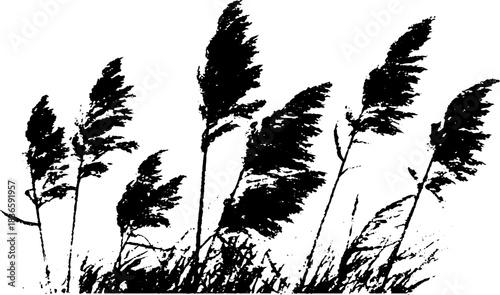 Black and white stencil illustration of cut reed stalks silhouette