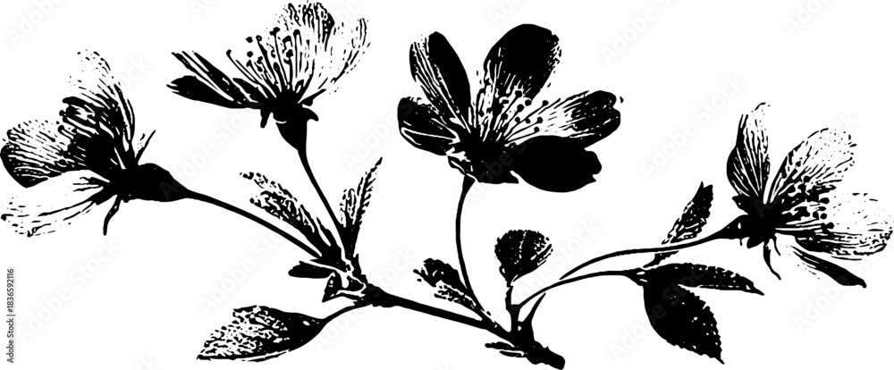 Obraz premium Black and white cherry blossom stencil illustration for nature decor