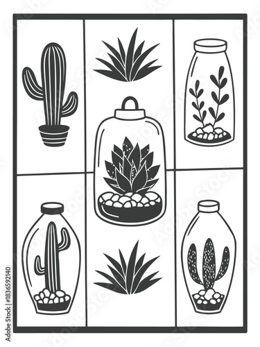 Vector illustration black and white line art collection of various succulent and cactus terrariums and potted plants