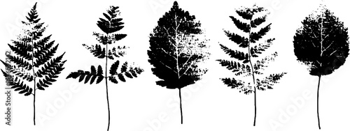 Black and white stencil leaf illustrations featuring delicate frost patterns