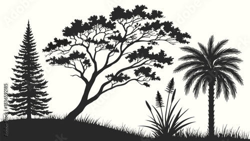 Vector illustration silhouette collection of diverse tree and plant species including a conifer, acacia, palm, and grass