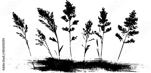 Black and white stencil art of delicate reed shadows for creative design