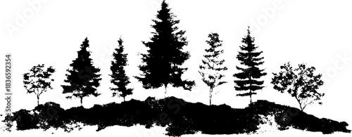Black and white stencil art of dense old forest floor with trees for nature design