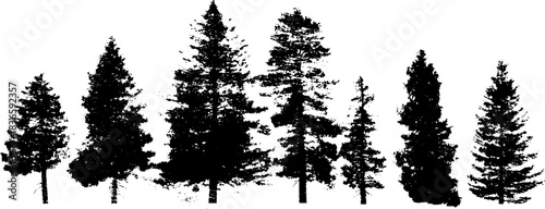 Black and white stencil illustration of dense old forest silhouettes for nature design