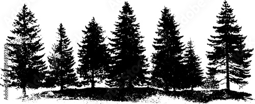 Monochrome stencil illustration of dense pine treeline for nature design