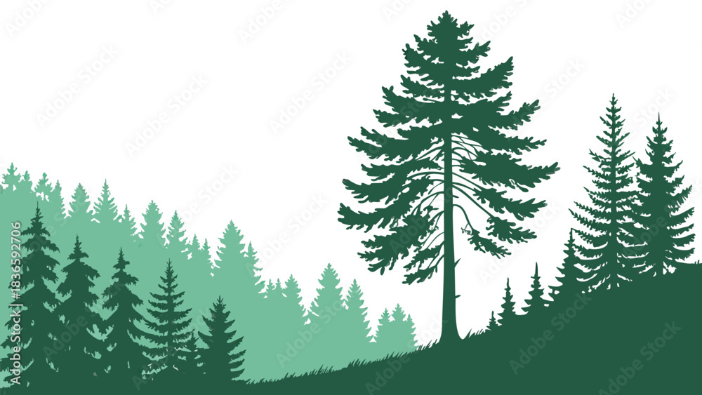 Fototapeta premium Vector illustration silhouette illustration of a dense pine forest landscape with a prominent tall evergreen tree in the foreground against a