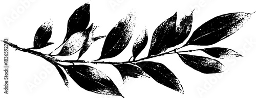 Black and white stencil art of dried olive branches for design projects