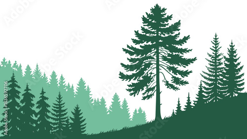Vector illustration silhouette illustration of a dense pine forest landscape with a prominent tall evergreen tree in the foreground against a