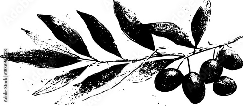 Monochrome stencil art of dried olive branches for rustic decor and design