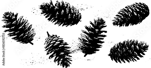 Black and white stencil illustration of dried pine cones