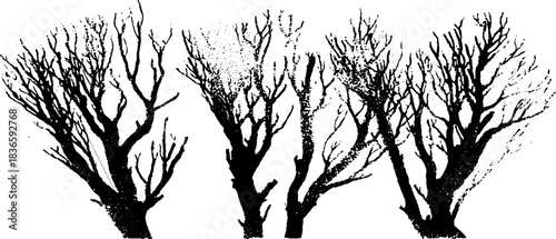 Black and white stencil illustration of dried woodland stems for nature-inspired designs