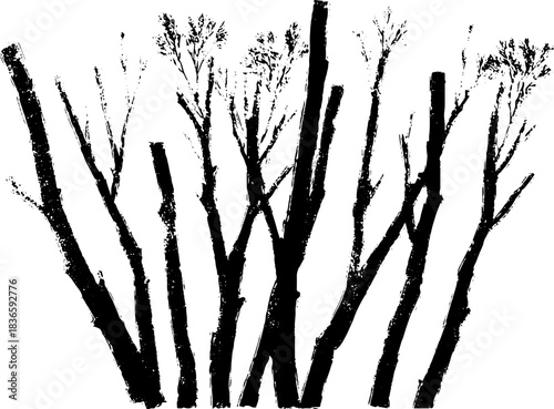 Black and white stencil art of dried woodland stems for rustic decor