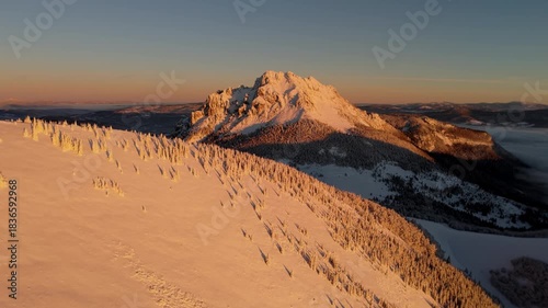 Aerial view of majestic snow-covered alpine mountain peak and forest in warm golden morning light
