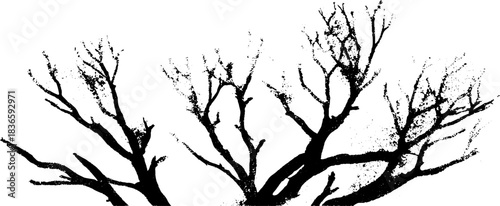 Monochrome stencil illustration of dry branches silhouette for urban art projects
