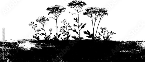 Black and white stencil art of dry shrub clusters for urban design