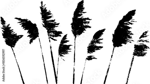 Black and white stencil illustration of dune reeds with textured detailing for natural design concepts