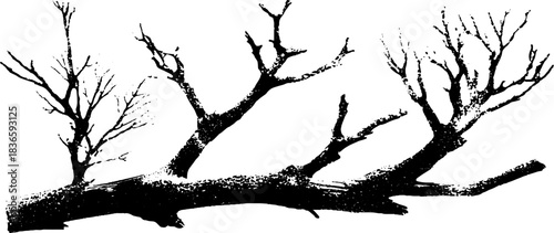 Black and white stencil illustration of fallen desert twigs for nature design and decoration