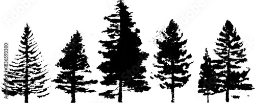 Black and white stencil illustration of pine tree silhouettes for nature design