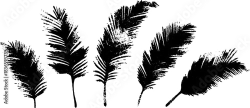 Black and white stencil illustration of frost feathers for urban art design