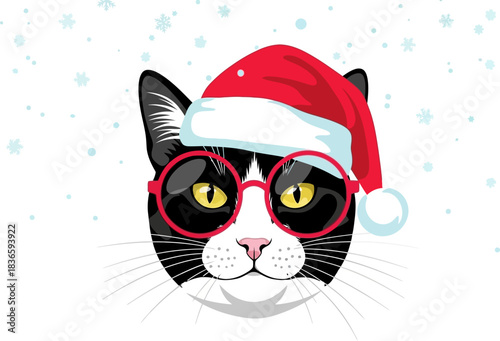Cute black and white cat wearing a santa hat and red glasses