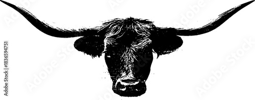 Black and white highland cow stencil illustration for urban art designs