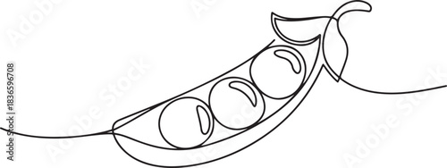 Peas continuous one line drawing vector illustration. one line Icon drawing