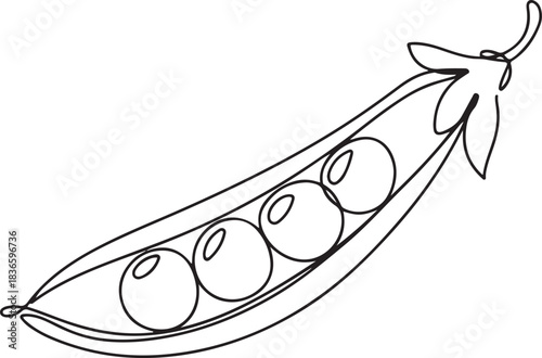 Peas continuous one line drawing vector illustration. one line Icon drawing