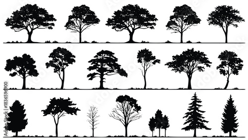 Vector illustration collection of various tree silhouettes in black and white showing different species and shapes for design use