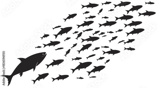 Vector illustration silhouette of a large fish leading a school of smaller fish in a dynamic formation