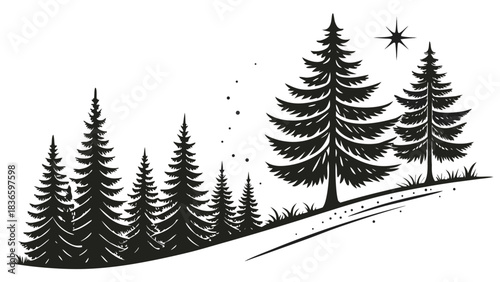 Vector illustration black and white silhouette illustration of evergreen pine trees on a snowy hill with a single star above