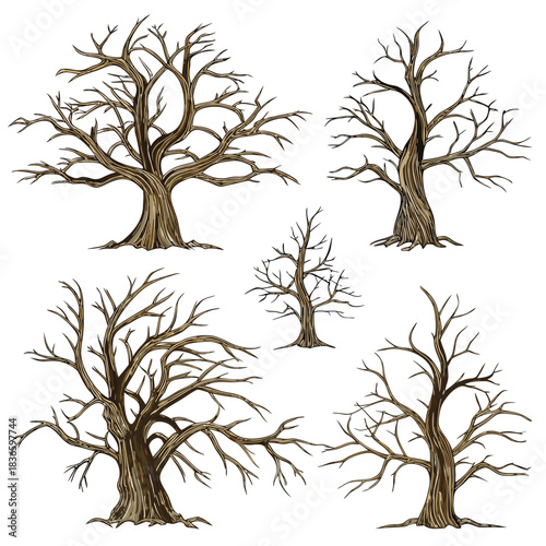 Vector illustration collection of five detailed watercolor illustrations of bare deciduous trees with intricate branch structures