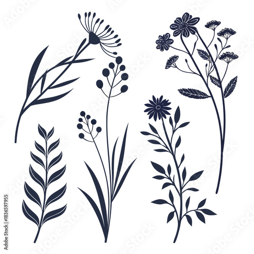 Vector illustration collection of dark blue botanical silhouette illustrations featuring various delicate wildflowers and foliage